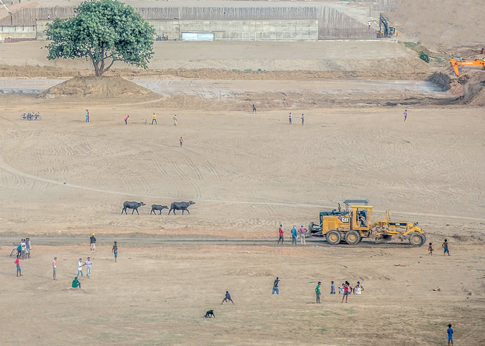 My Journey With Trees: Fascinating Photo Series By Dakshina Murthy